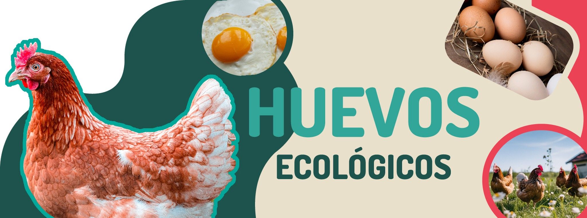 huevoseco