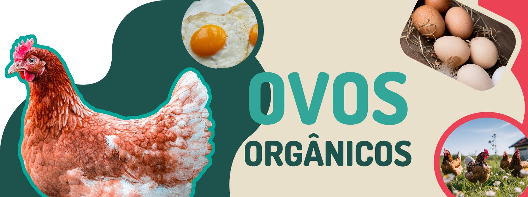 huevoseco
