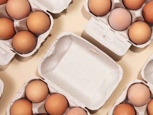 Huevos ecologicos​