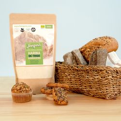 Harina Trigo Sarraceno 500 g