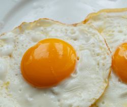 Huevo ecológico por docena categoría A (frescos) |Huevos ecologicos precio especial talla M-L