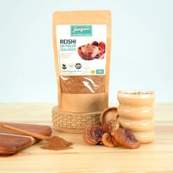 Bio Reishi Pulver 125 g